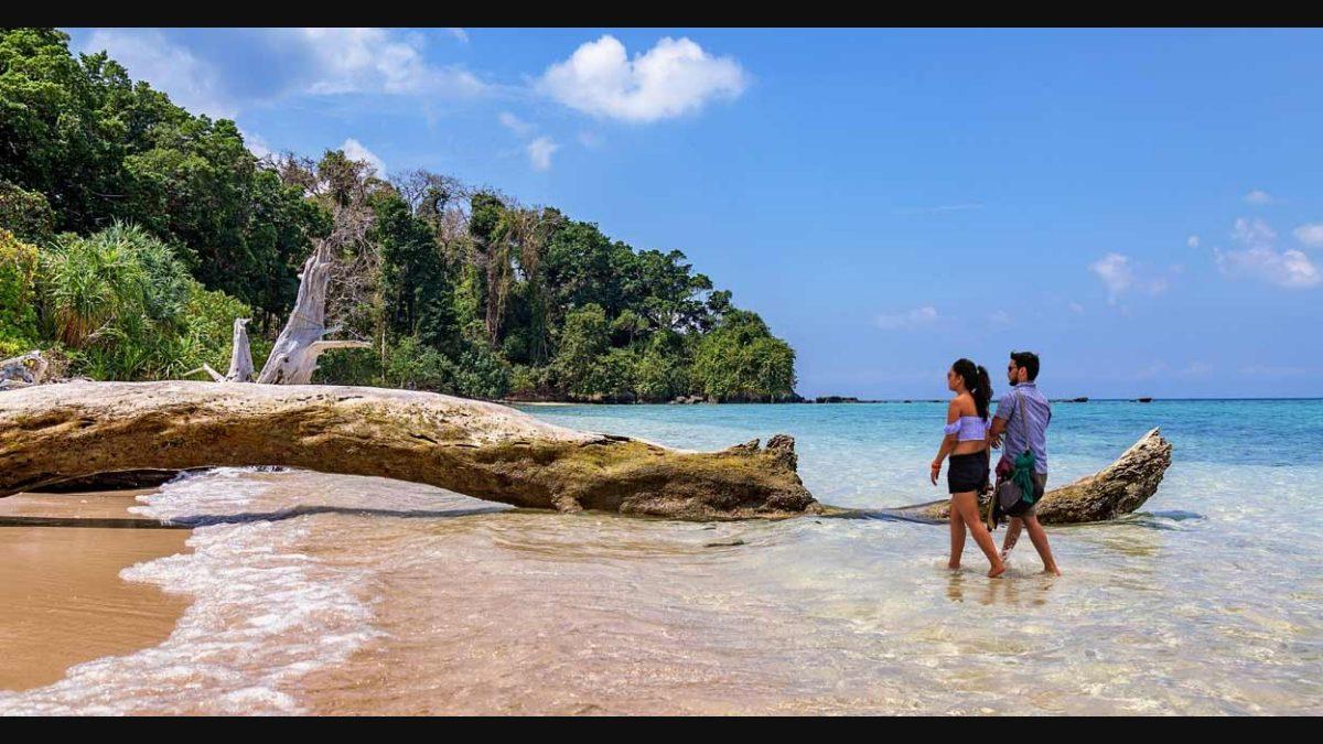 Andaman honeymoon package  Andaman honeymoon package